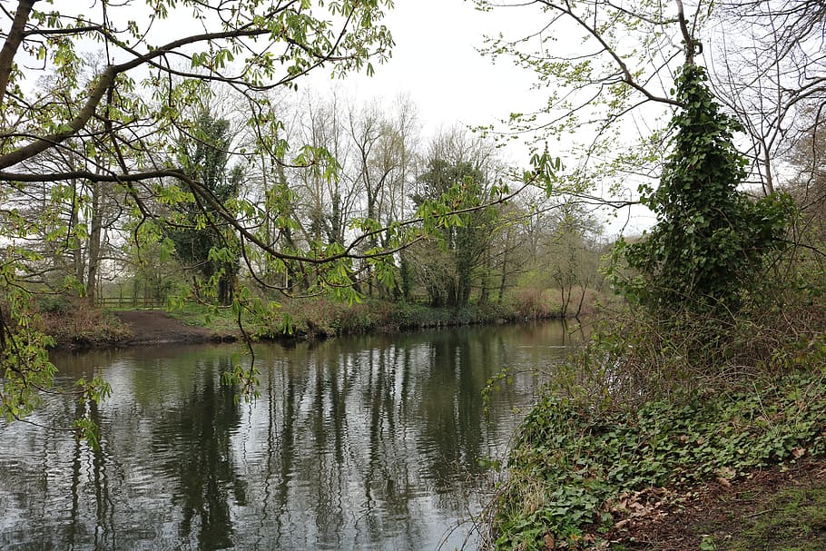 landscape, forest, park, river, trees, fresh air, nature, mountain landscape HD wallpaper