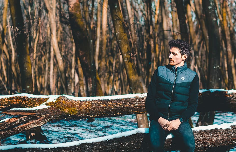 man sitting on tree branch wearing jacket, nature, portrait HD wallpaper