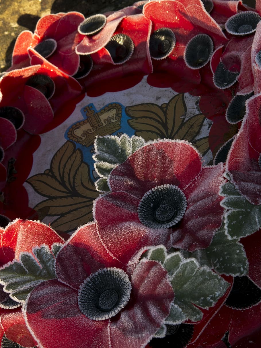 wreath, poppy, war, remembrance, frost, british legion, art and craft HD wallpaper