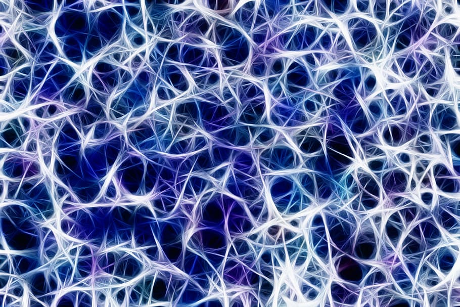 blue and white digital wallpaper, nerves, network, nervous system