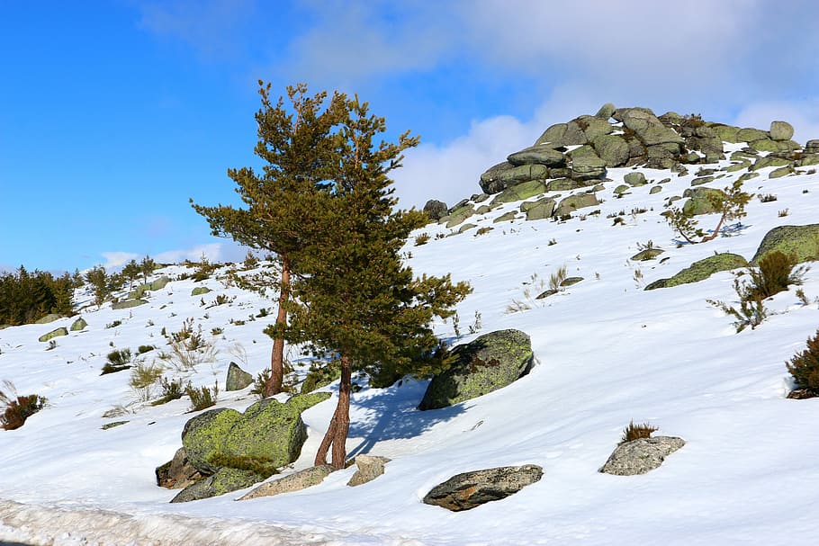 Serra Da Estrela, Snow, Winter, Mountain, landscape, nature HD wallpaper