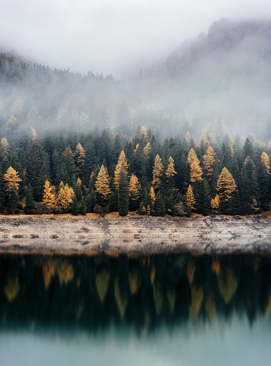 photo of trees covered with mist on mountain range with reflection on body of water HD wallpaper
