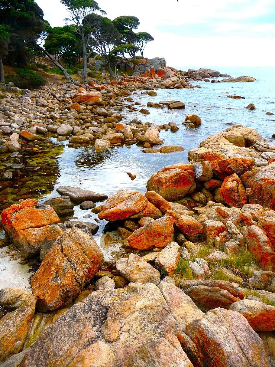 body of water and stones photo at daytime, shoreline, beach HD wallpaper