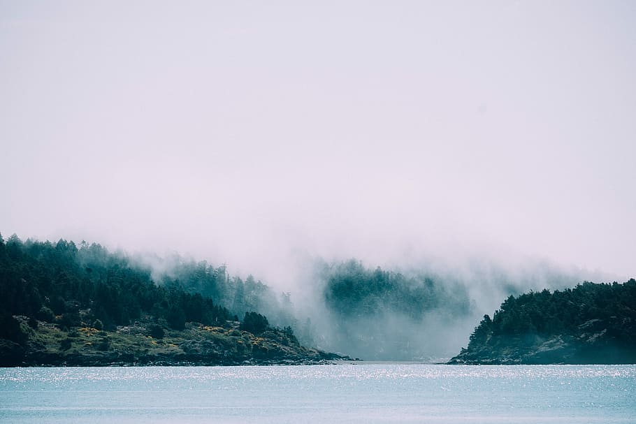wave photography, nature, sea, water, fog, scenics, landscape HD wallpaper