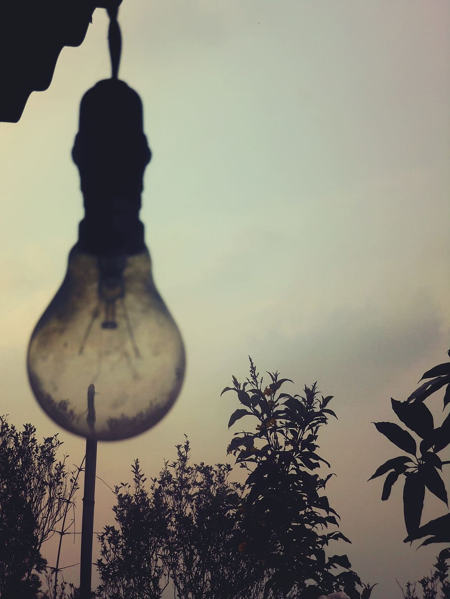 light bulb, sky, trees, plant, nature, no people, silhouette HD wallpaper