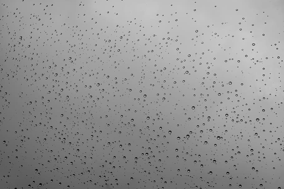 photo of water droplets, drop of water, disc, rain, wet, drip, HD wallpaper