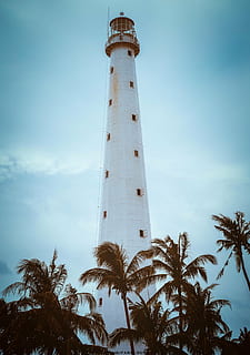white lighthouse and coconut tree line photo during daytime HD wallpaper