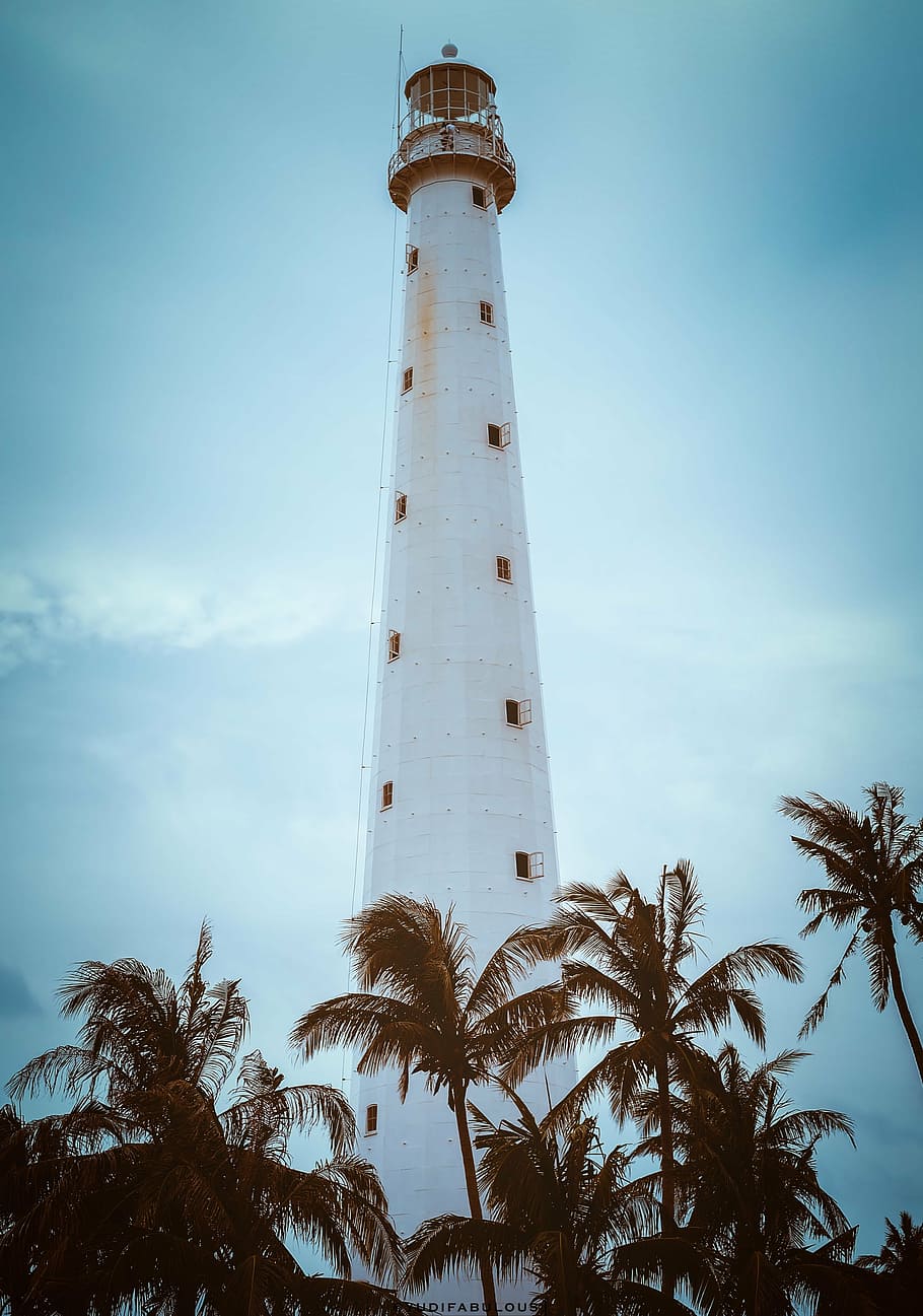 white lighthouse and coconut tree line photo during daytime HD wallpaper