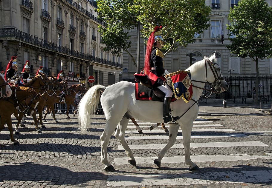 paris, france, horses, guard, cavalry, regiment, city, street, HD wallpaper