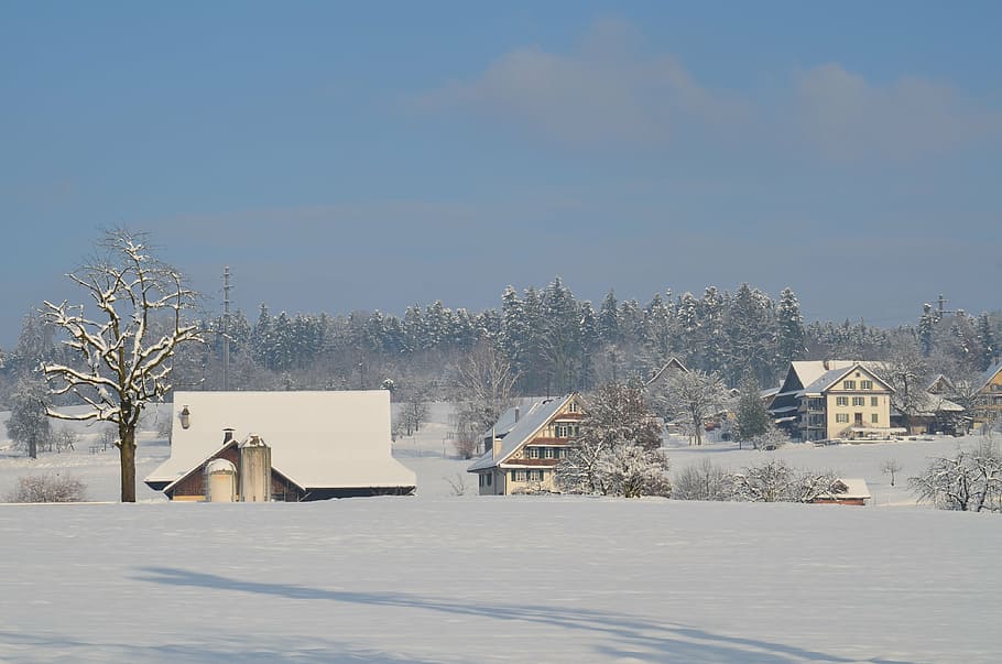 winter, snow, wintry, white, cold, snowy, nature, switzerland HD wallpaper