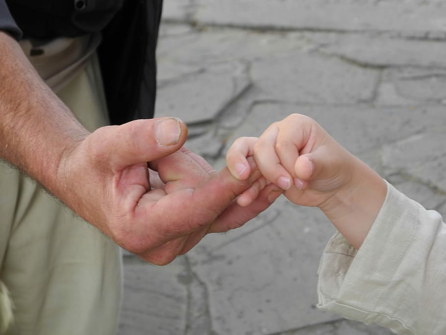 Hands, Human, Old, Trust, human hands, young and old, human body part HD wallpaper
