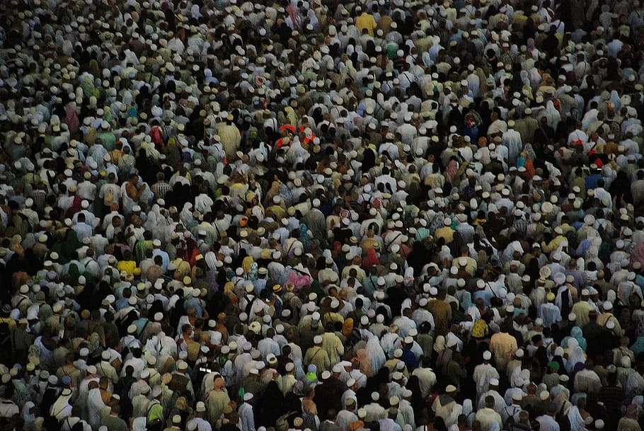 hajj, people, group, persons, crowd, meeting, human, crowds, HD wallpaper