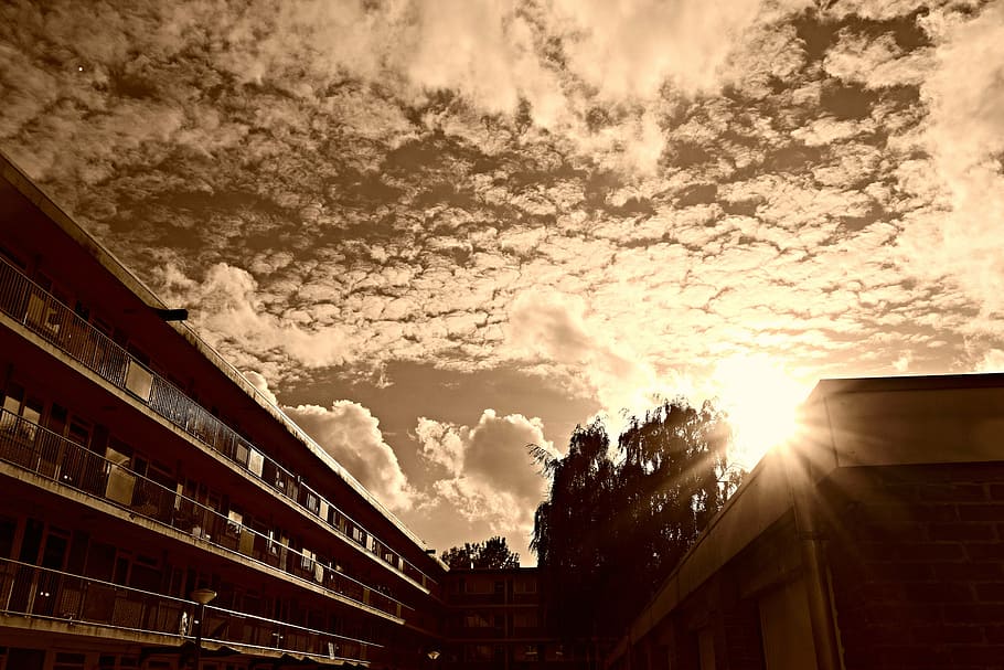 sunset, dusk, sky, evening sky, clouds sky, summer, sunlight HD wallpaper