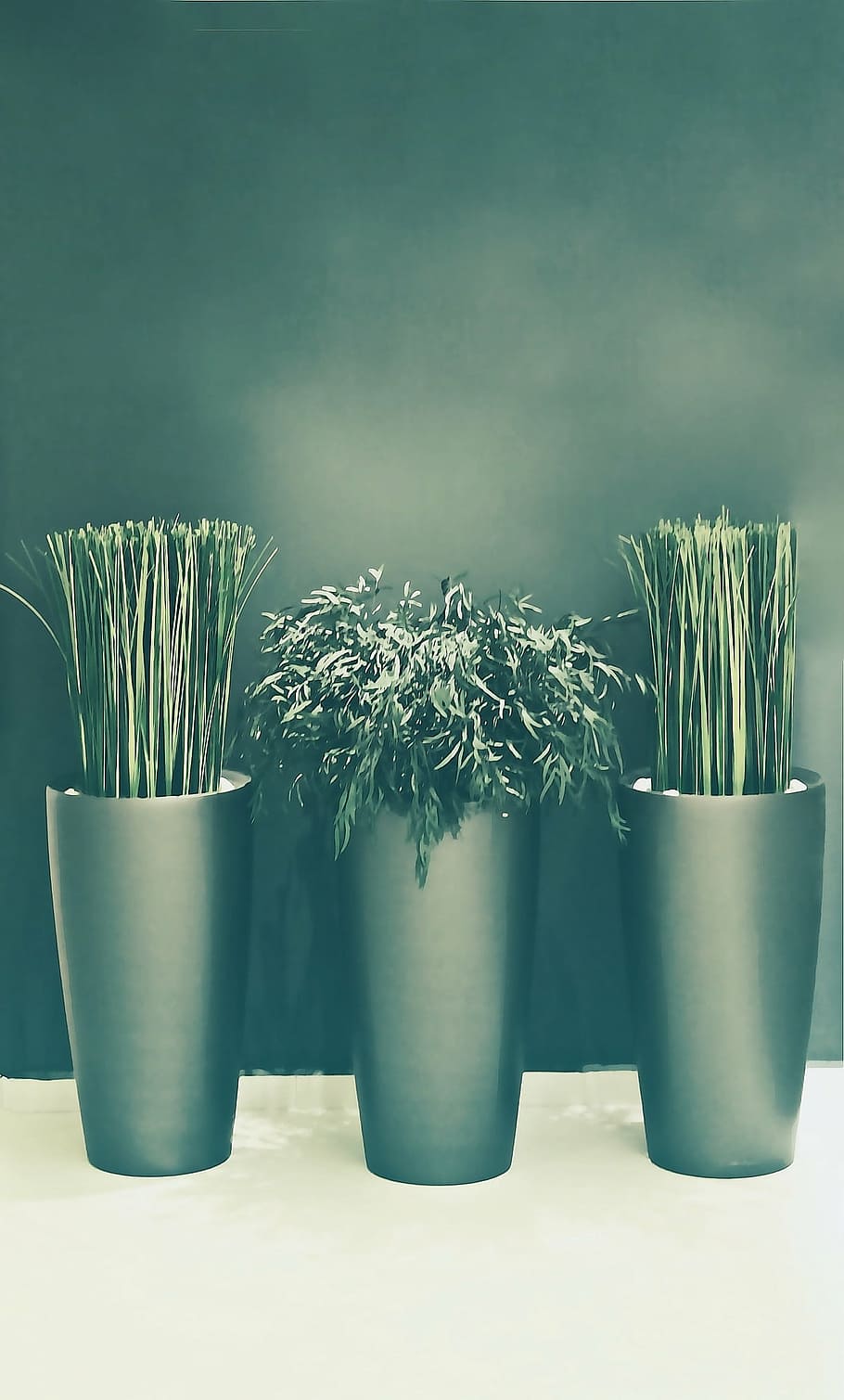 wellness, spa, background, rest, peaceful, mood, plant, equipment HD wallpaper