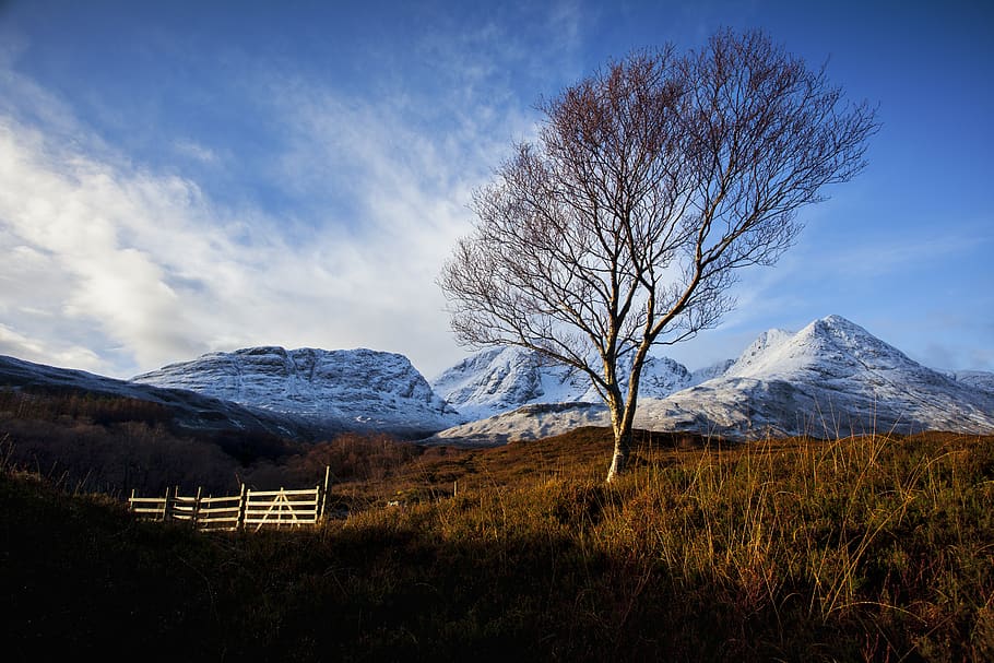 mountain, landscape, panoramic, nature, sky, tree, snow, scenics - nature HD wallpaper