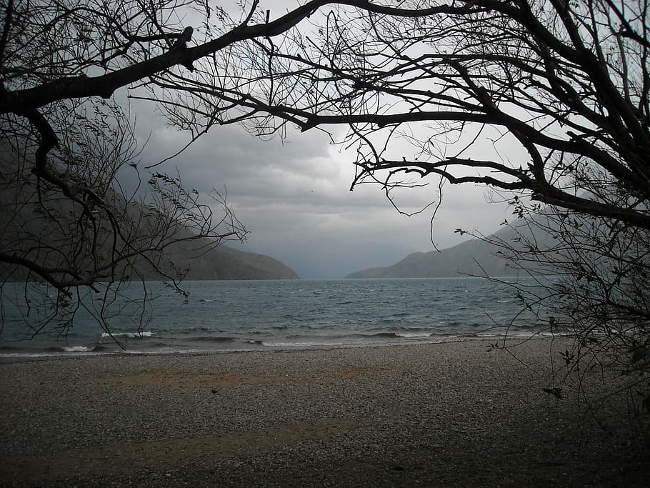 creepy landscape, cloudy, lake, mountains, nature, tree, sea HD wallpaper