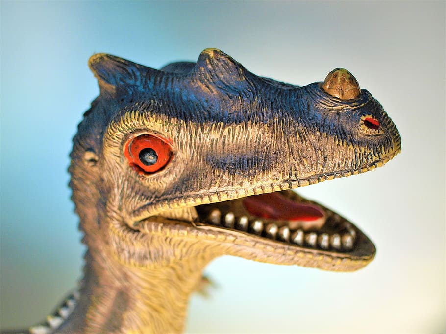 closed-up photo of gray dinosaur figurine, shallow focus photography of dinosaur plastic toy HD wallpaper