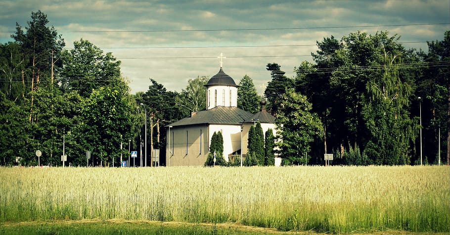church, view, summer, architecture, religion, building, tower HD wallpaper