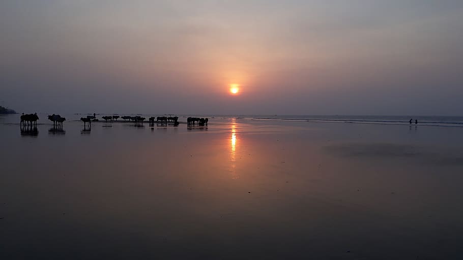 Astounding Bengal: DIGHA : THE UNTOLD STORY