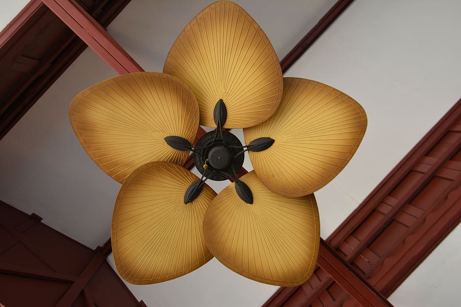 fan, ceiling fan, air, cool, interior, home, house, electric