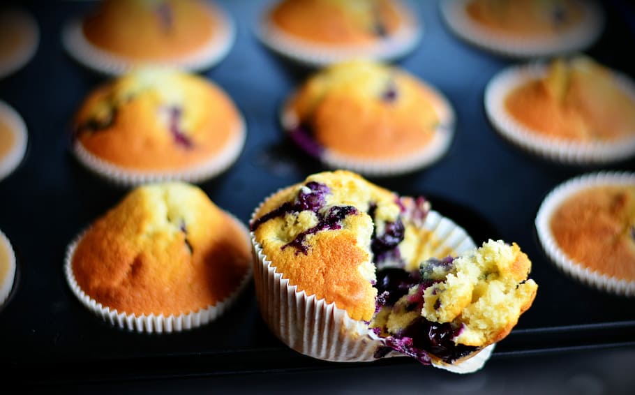 selective focus photography of muffin, muffins, blueberry muffins