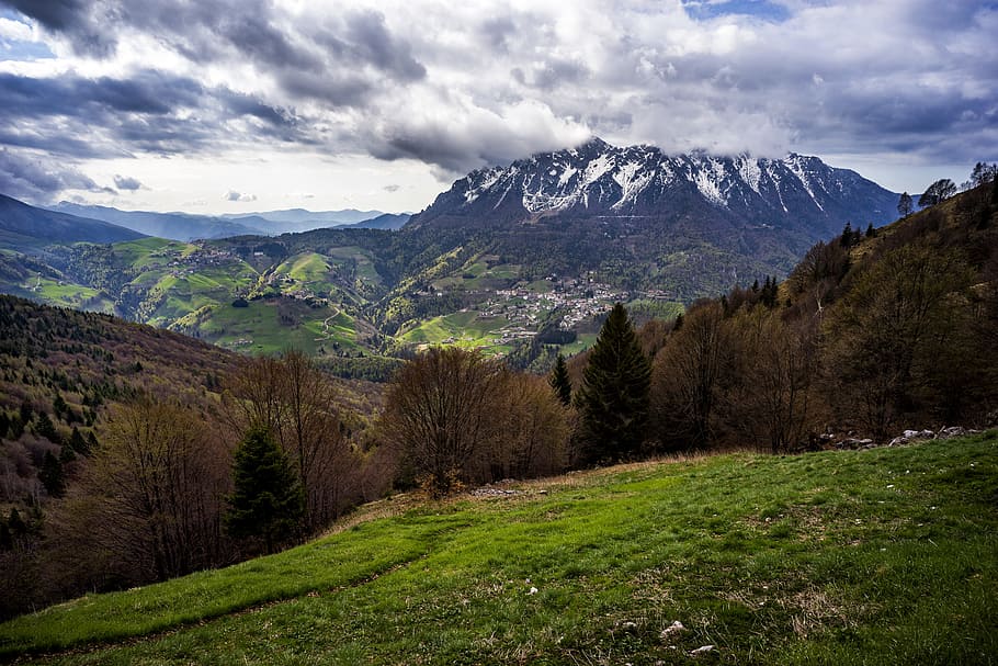 brown trees and snow covered mountain under cloudy sky, green grass field HD wallpaper
