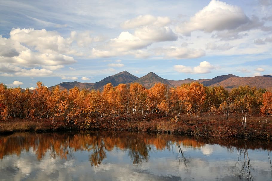 autumn, forest, lake, reflection, autumn forest, golden autumn HD wallpaper