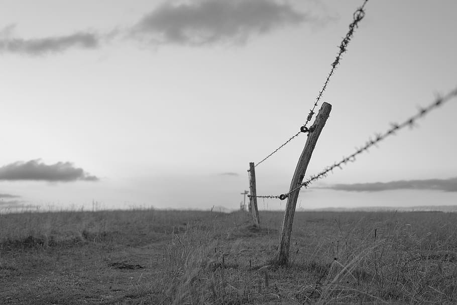 fence, away, wide, rest, horizon, black and white, barbed wire HD wallpaper