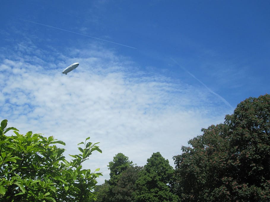 Zeppelin, Aircraft, Float, sky, bird, animals in the wild, animal themes HD wallpaper