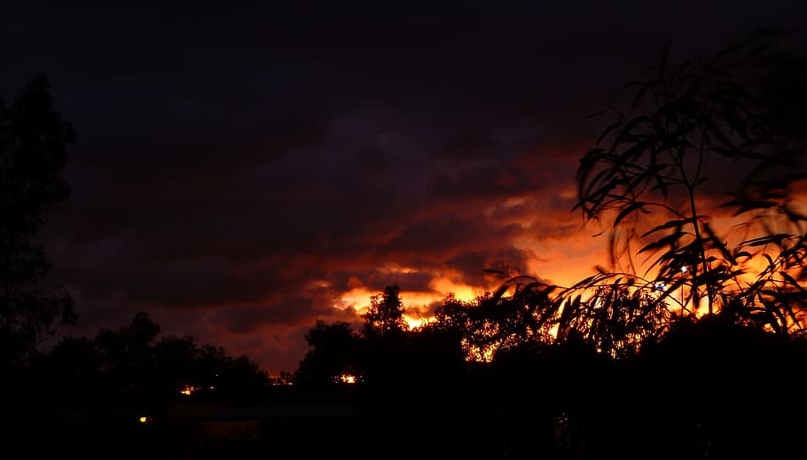 sunset, leaves, nature, tree, silhouette, burning, night, fire HD wallpaper