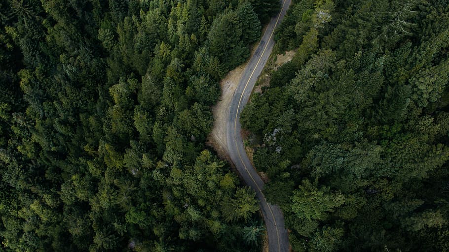 aerial photography of asphalt road surrounded with trees, top view of gray concrete road HD wallpaper