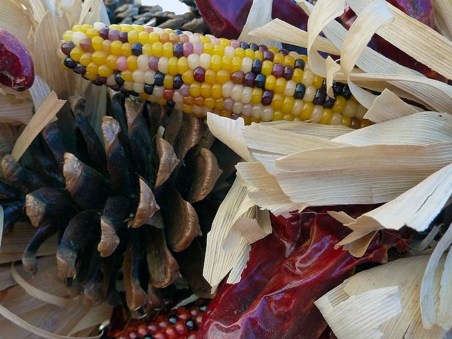 Decoration, Dried, Corn, Yellow, vegetables, dry, corn cob HD wallpaper