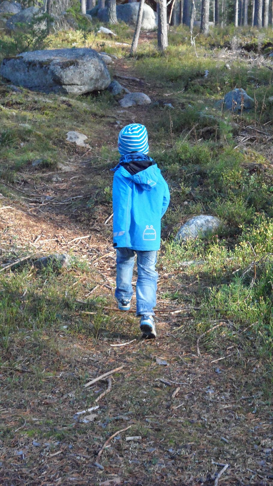 boy, forest, little boy, trees, infant, kid, running, one person HD wallpaper