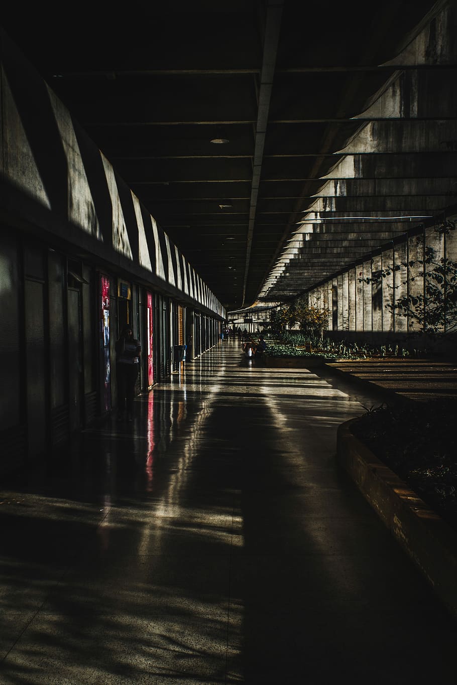 woman standing at pathway, gray building at night, architecture HD wallpaper