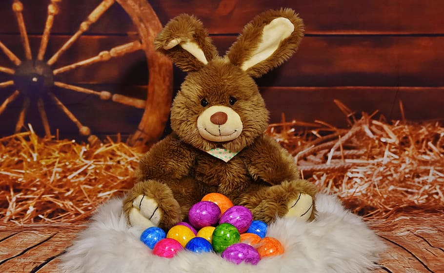 Easter Bunny, Egg, Colored, Colorful, easter eggs, easter nest HD wallpaper