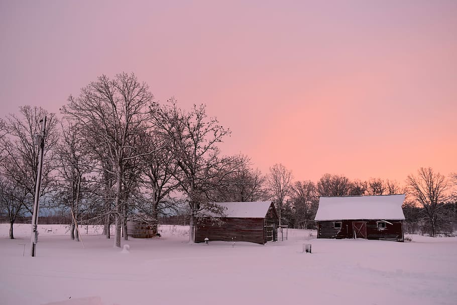 Barn, Pink, Sky, winter, cold temperature, snow, sunset, built structure HD wallpaper