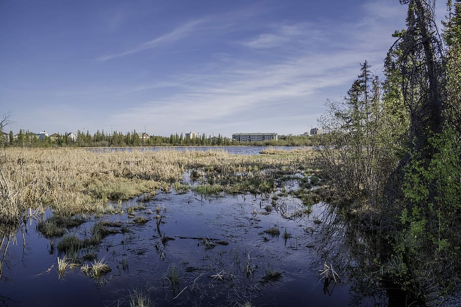 Marshland and wetlands under the skies in Yellowknife, canada HD wallpaper
