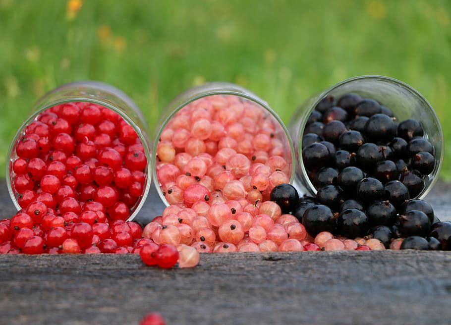 red, pink, and blue berries on brown wooden surface, currant HD wallpaper