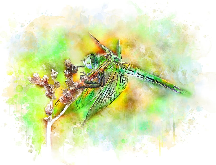 Dragonfly Art Wallpaper