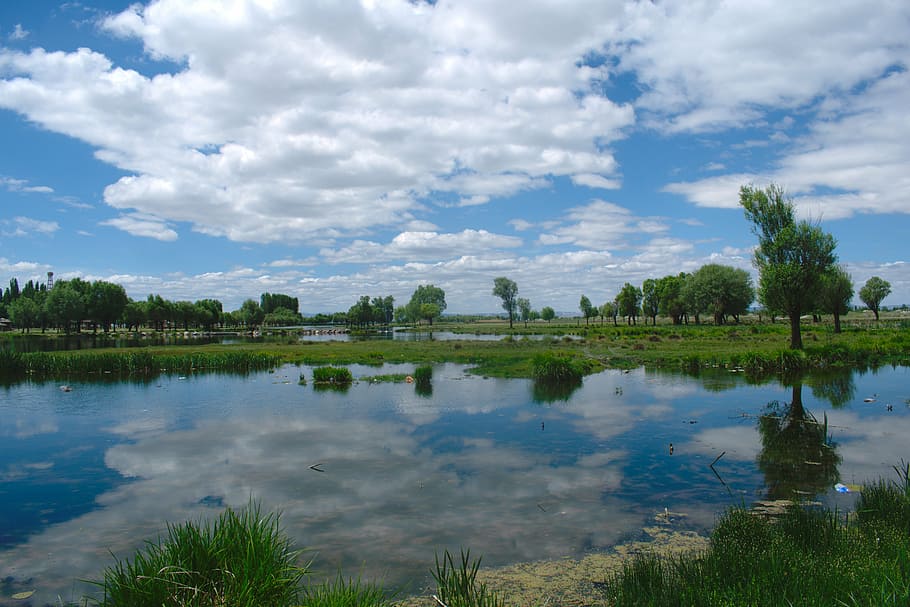 landscape, reflection, light, nature, tree, lake, summer, water HD wallpaper