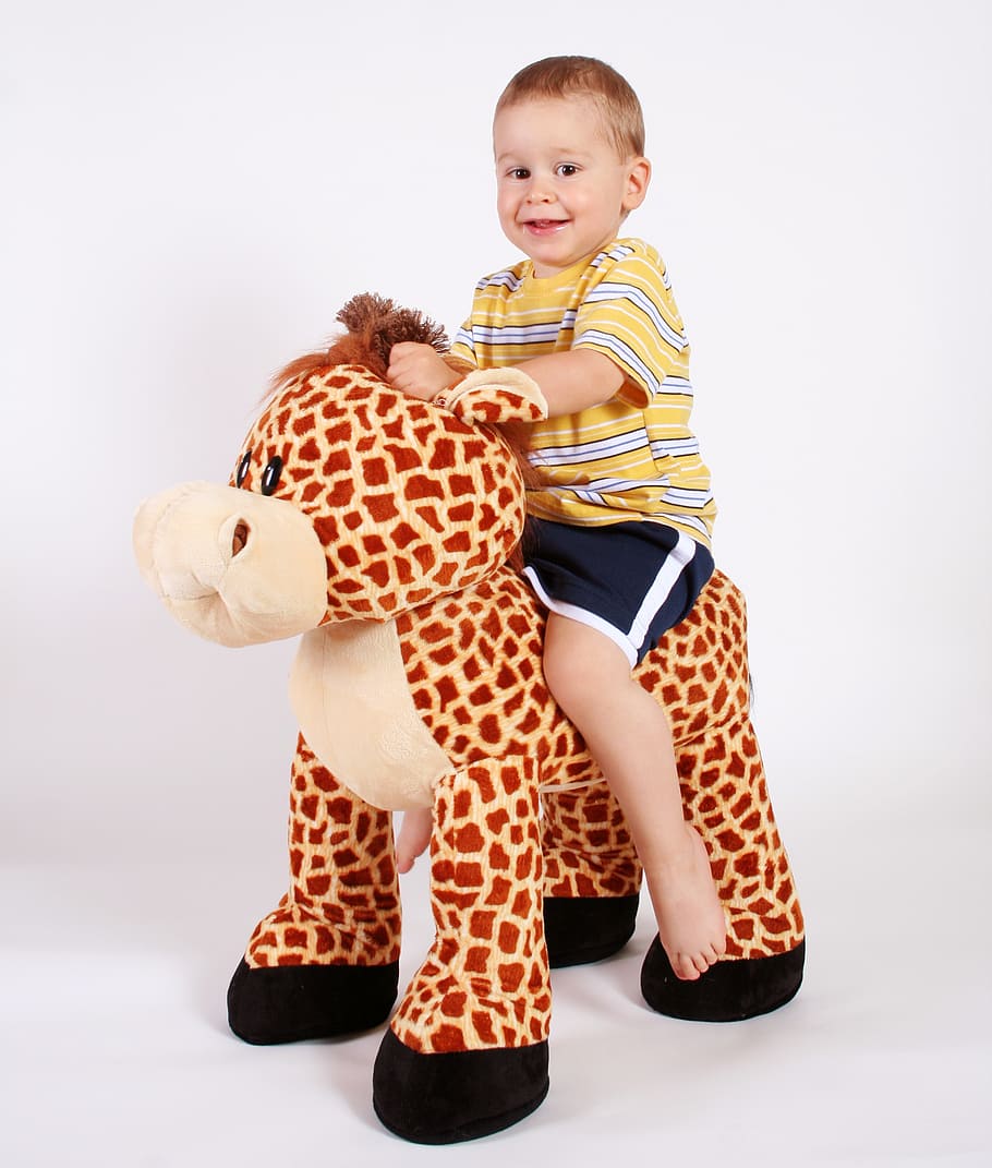 boy, smiling, child, play, riding, toy, animal, happy, cheerful HD wallpaper