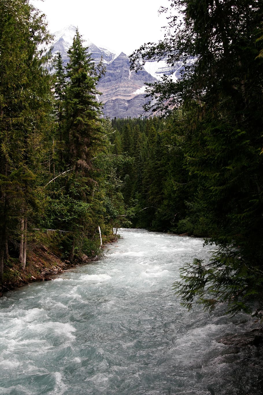 River, Forest, Trees, Mountain, Nature, landscape, water, travel HD wallpaper