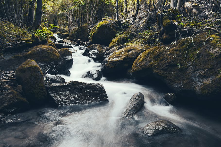river in forest during daylight, stream, flowing, water, moss HD wallpaper