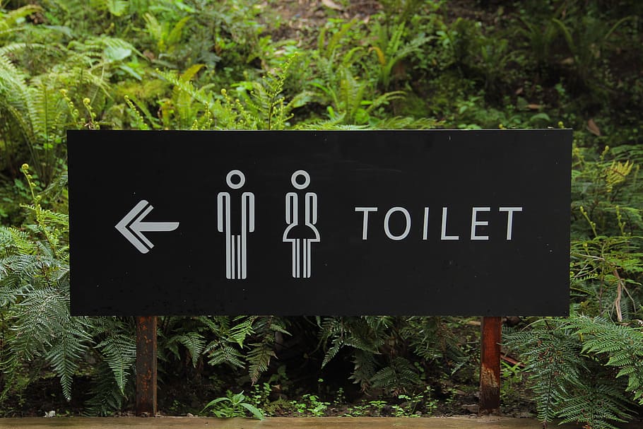 Toilet Signage Beside Green Leaf, directions, gender, outdoors