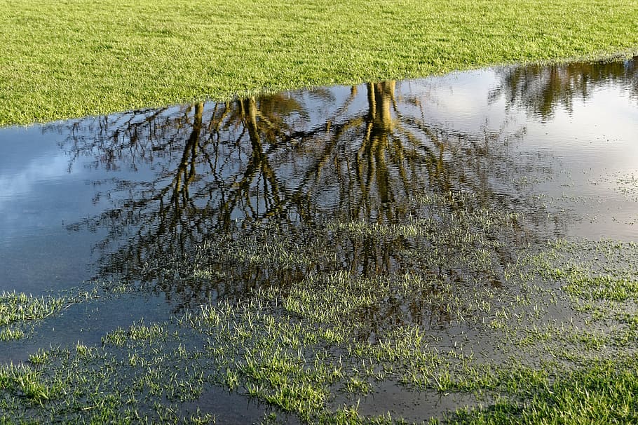 golf, golf course flooding, water, reflection, landscape, nature HD wallpaper