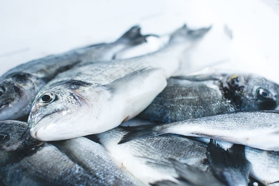 pile of gray fishes, stocks of silver fish, Market, food, seafood HD wallpaper