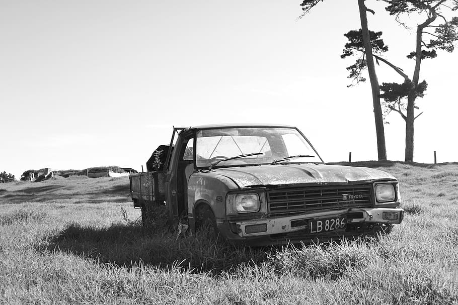 hilux, rusty, ute, monochrome, mode of transportation, plant, HD wallpaper