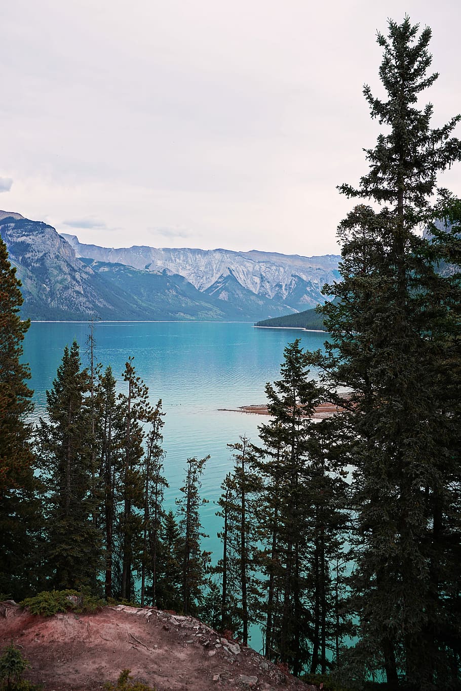 green leafed trees near body of water during daytime, Banff National Park HD wallpaper