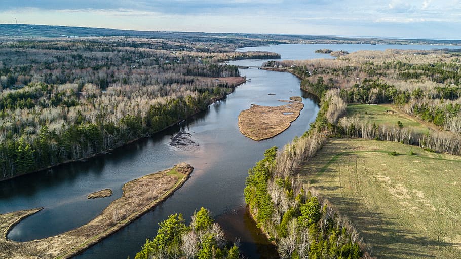 river, harbour, ocean, forrest, drone, uav, water, high angle view HD wallpaper