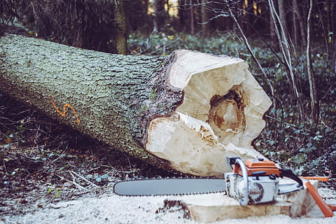 chainsaw near tree log, white and orange Stihl gas chainsaw beside tree trunk HD wallpaper